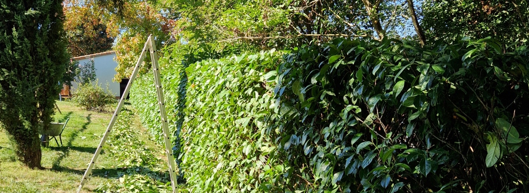 GARCIA ECO PAYSAGE est une entreprise spécialisée dans l’entretien des parcs et jardins : tonte pelouse, taille de haies, débroussaillage, désherbage, jardinage, collecte/recyclage déchets verts