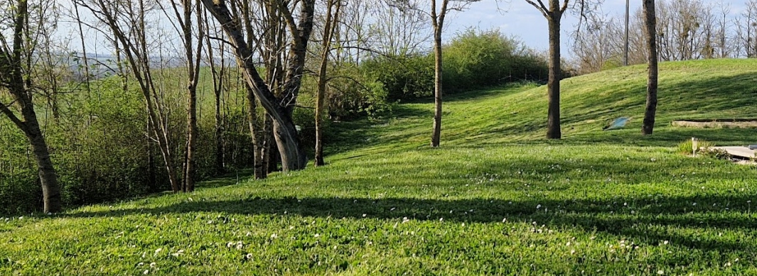 GARCIA ECO PAYSAGE est une entreprise spécialisée dans l’entretien des parcs et jardins : tonte pelouse, taille de haies, débroussaillage, désherbage, jardinage, collecte/recyclage déchets verts